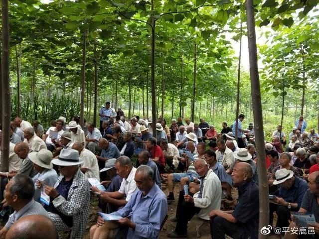 杨湖口这些横幅火了!鹿邑人都在传