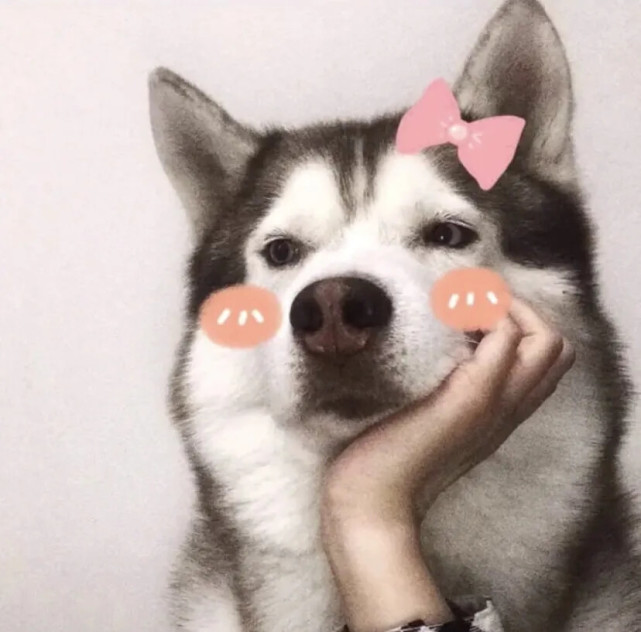 不想公开的单人情头一个人生活久了遇到点温暖那颗假装孤傲的心便会溃