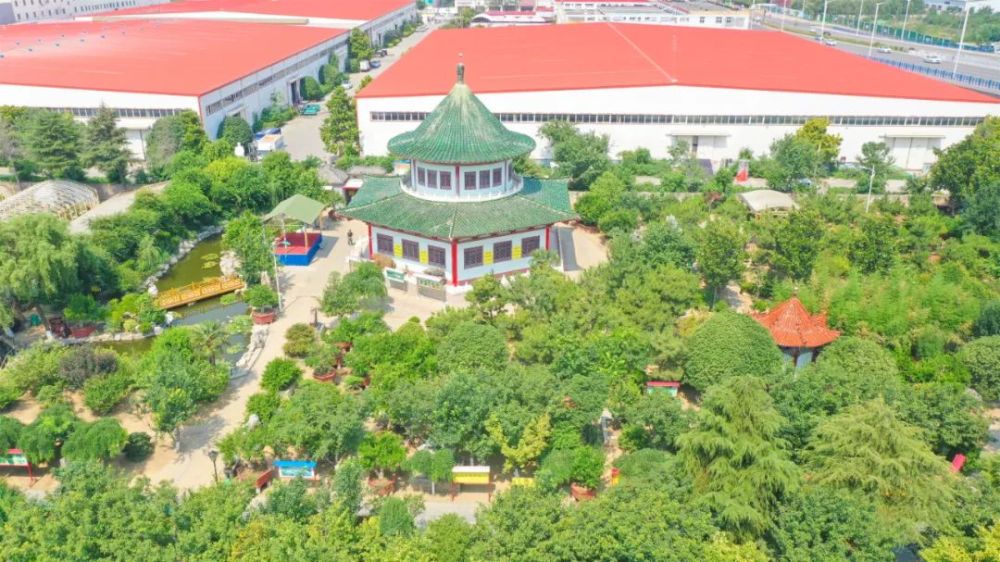 据园主介绍,明香石榴园建立于2006年,位于长江路与富商路交叉口南侧
