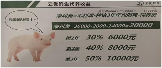 云优鲜生涉嫌非法集资：以代养殖种猪为名公众募集资金(图4)