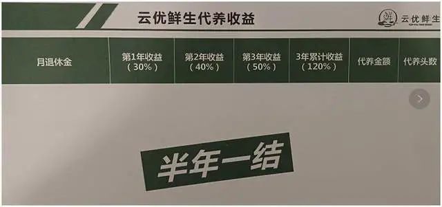 云优鲜生涉嫌非法集资：以代养殖种猪为名公众募集资金(图5)
