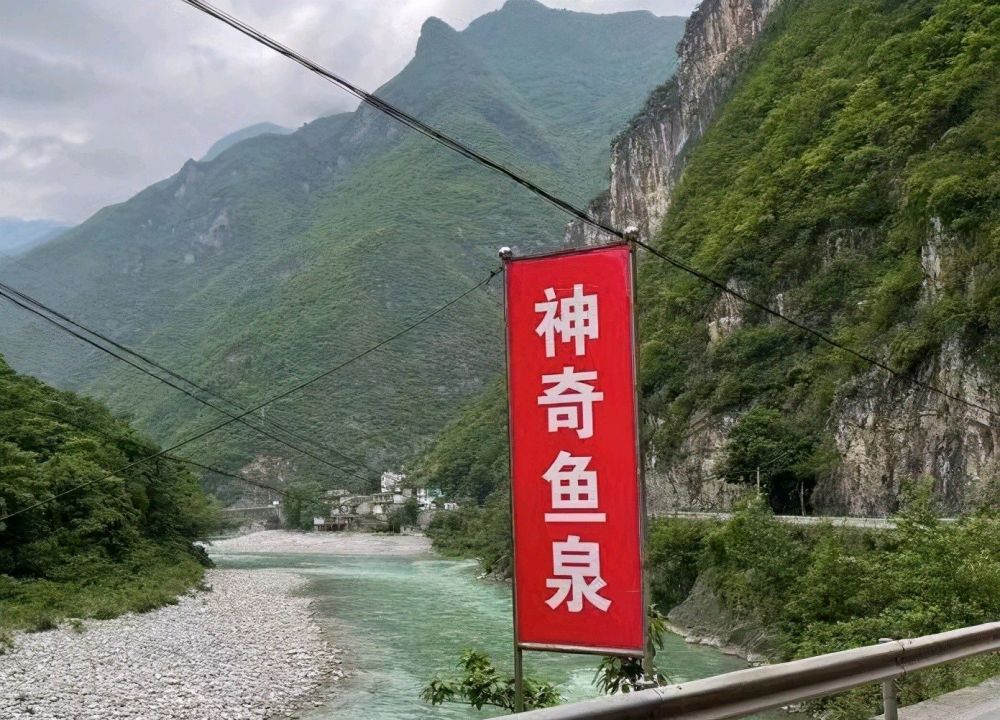 重庆大爷家中挖出鱼泉最多一天出鱼1000斤200一斤有人买