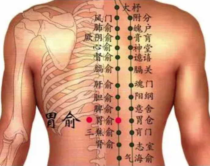 脾腧准确位置图视频_脾俞的准确位置图和主治作用_脾腧准确位置