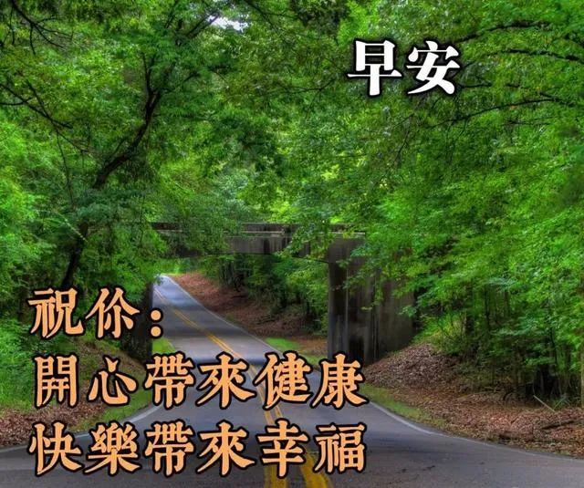 早上好朋友新版微信早上好微信祝福语大全清晨朋友圈早安问候语图片