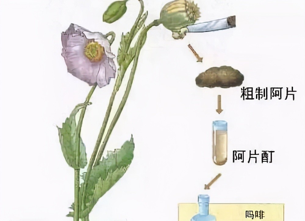 强生停止在美销售阿片类药物,减少成瘾性药物滥用美走出关键一步