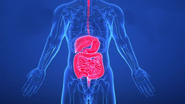 早晨经常被肚子疼醒是怎么回事附调理建议