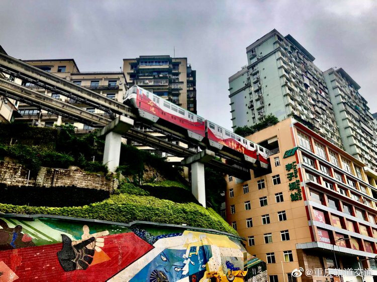 重庆动物园大熊猫"莽仔"近日产下一对雄性双胞胎,这是2021年全球首