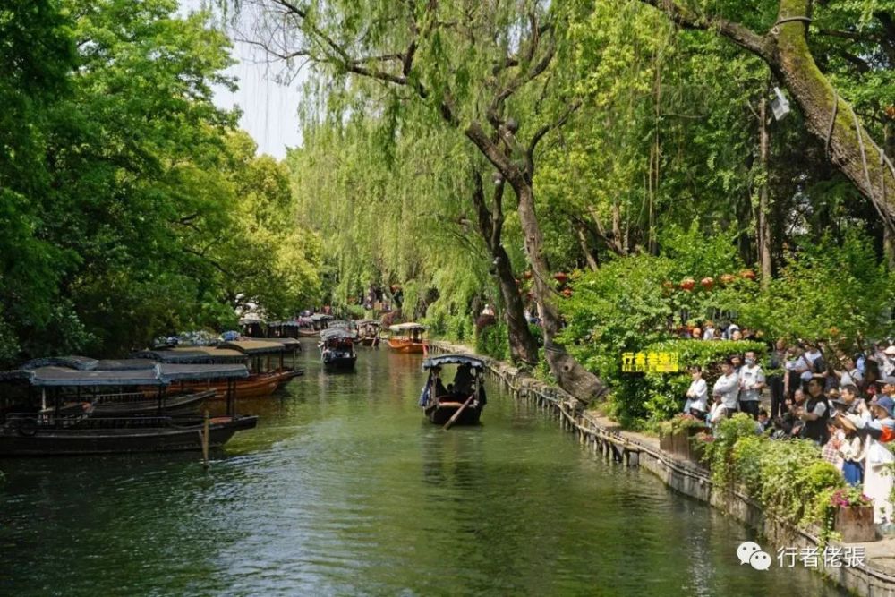 梦里水乡古镇南浔 诗书之乡文化之邦 全镇都是文物古迹 全网搜