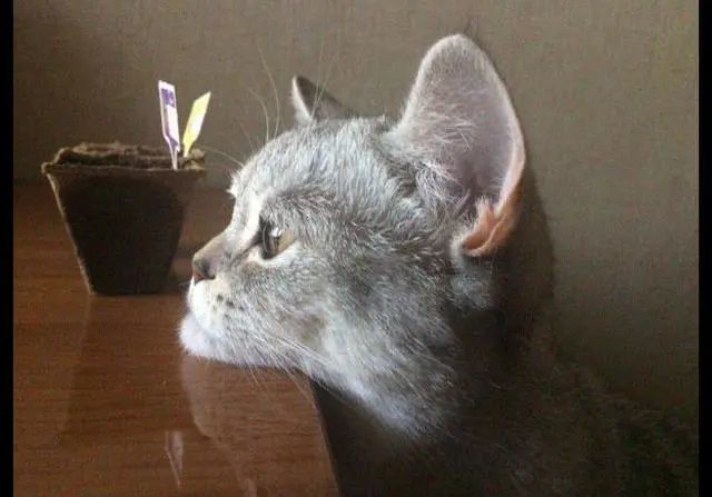 发呆的人比你聪明!