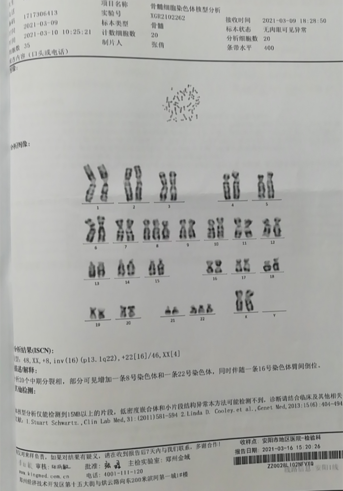 染色体核型分析报告图片