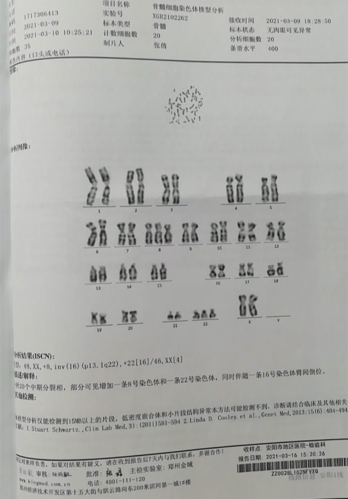 外送的染色体核型分析和分子病理的报告回来了,检测结果又一次让我们