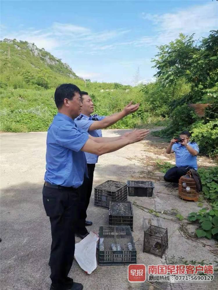 男子捕画眉鸟被刑拘!全州警方破获多起涉林刑事案件