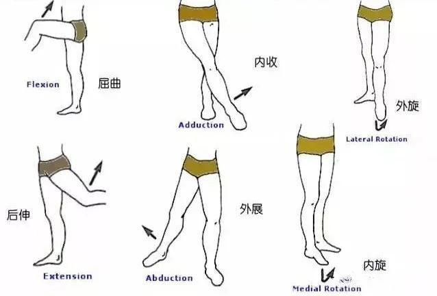 瑜伽开肩开髋辣么久,肩髋关节到底怎样才算打开?