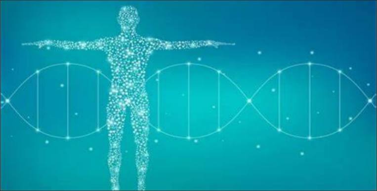 冷冻人新希望 北极轮虫冰封2 4万年后被科学家唤醒 即刻开始繁殖 全网搜