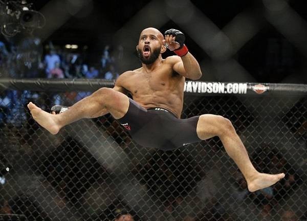 大力鼠:如果能带动格斗运动和慈善,我支持_腾讯新闻