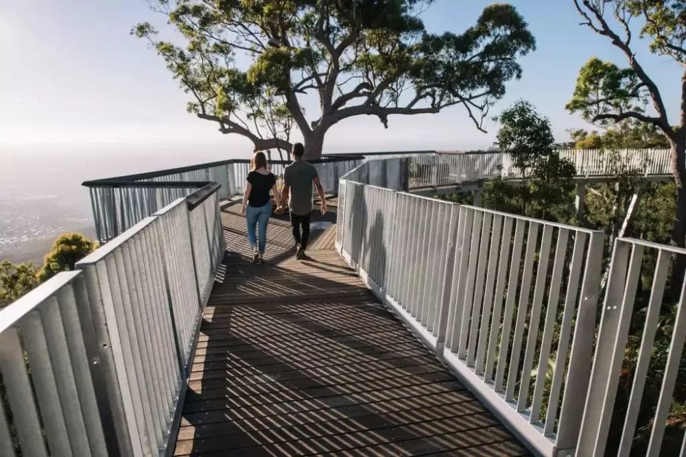 各种各样的观景台和非正式的聚集空间,为当地人和游客提供了探索,学习