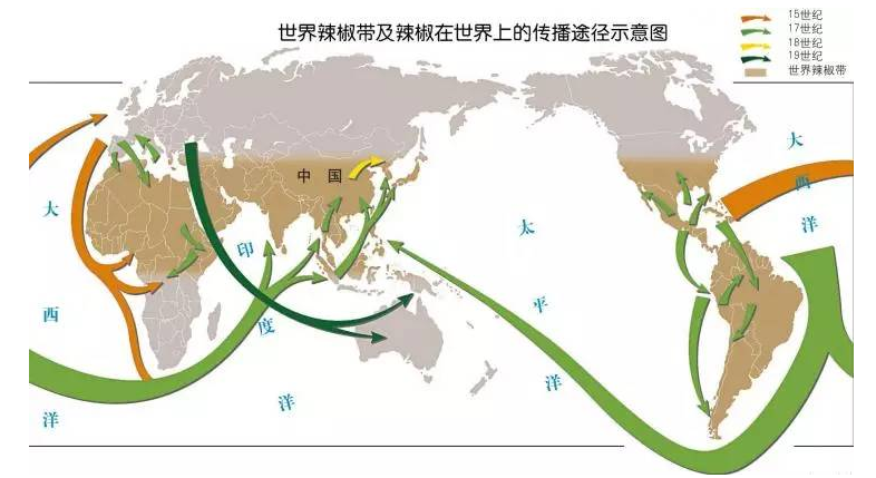 被干出来的国民美食 全网搜