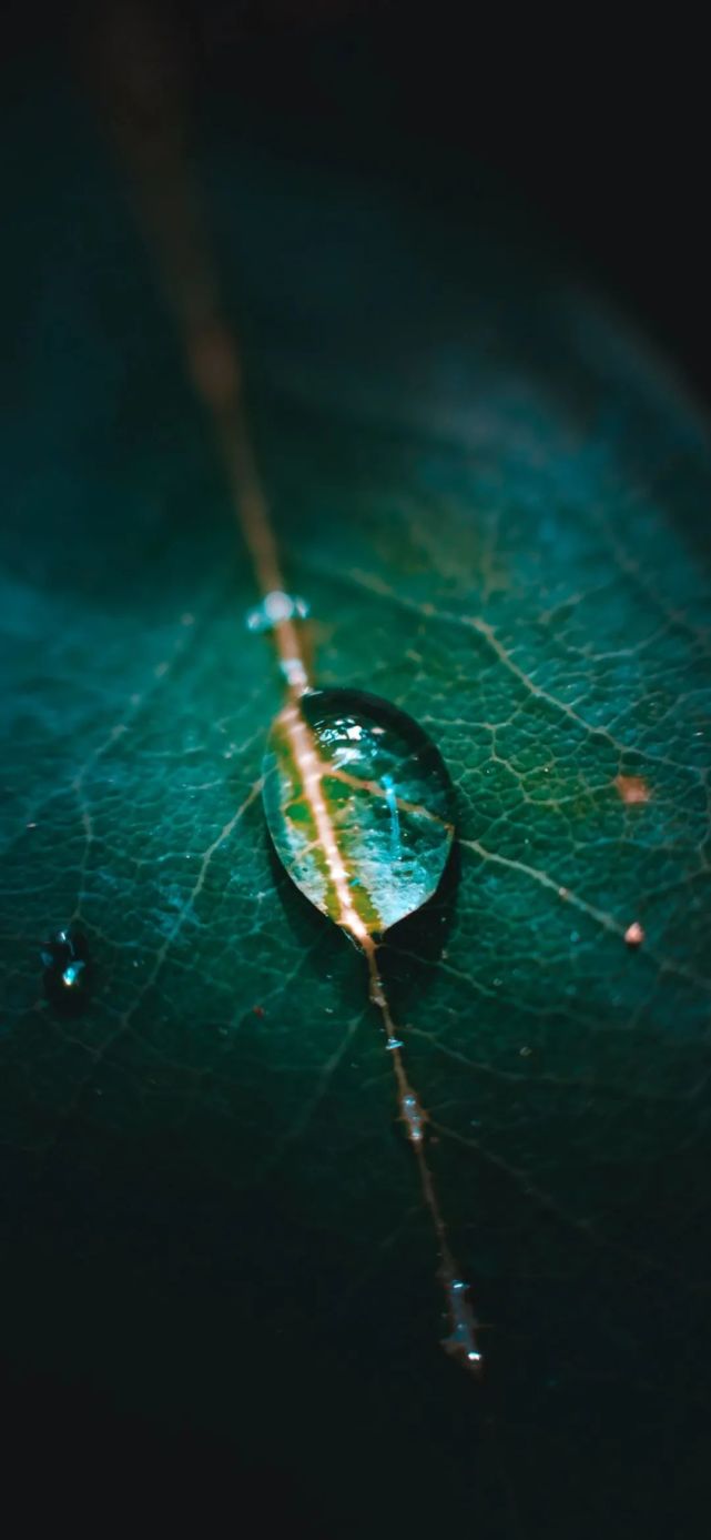 Iphone壁纸 苹果4k超清壁纸 数码