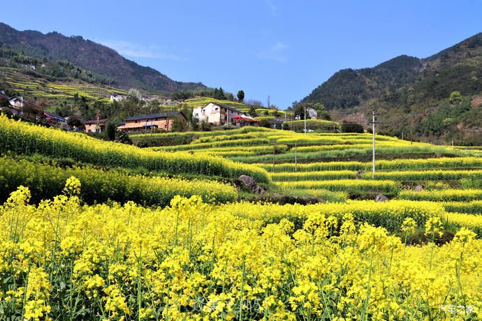 莫负四月好春光自驾游览胥岭梯田赏油菜花下