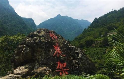 山海經中的九頭鳥在神農架現身難道神話傳說並非虛構