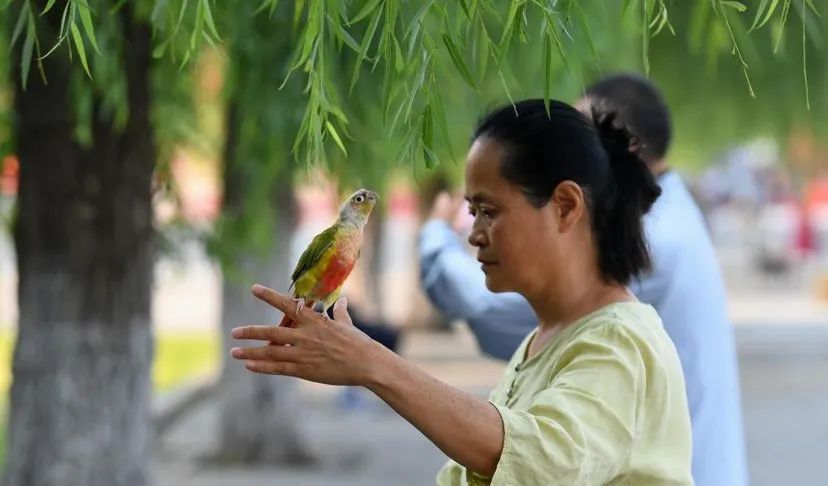 图片关键词