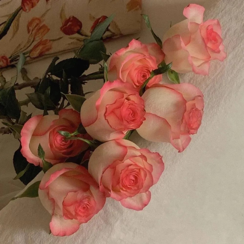 ins风唯美背景图你应该很快乐吧