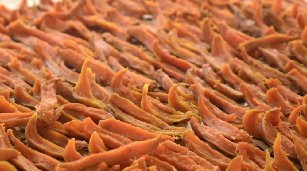 政和县融媒体中心作者:阮倩敏 陈昌村