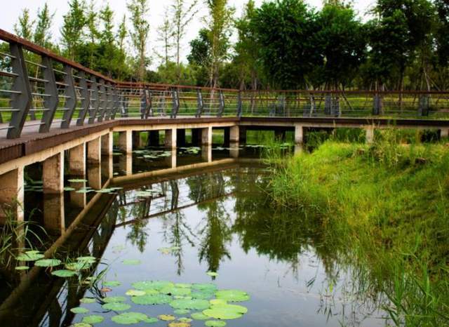 郑州袖珍人工湖曾为天下九泽之一与鄱阳洞庭齐名