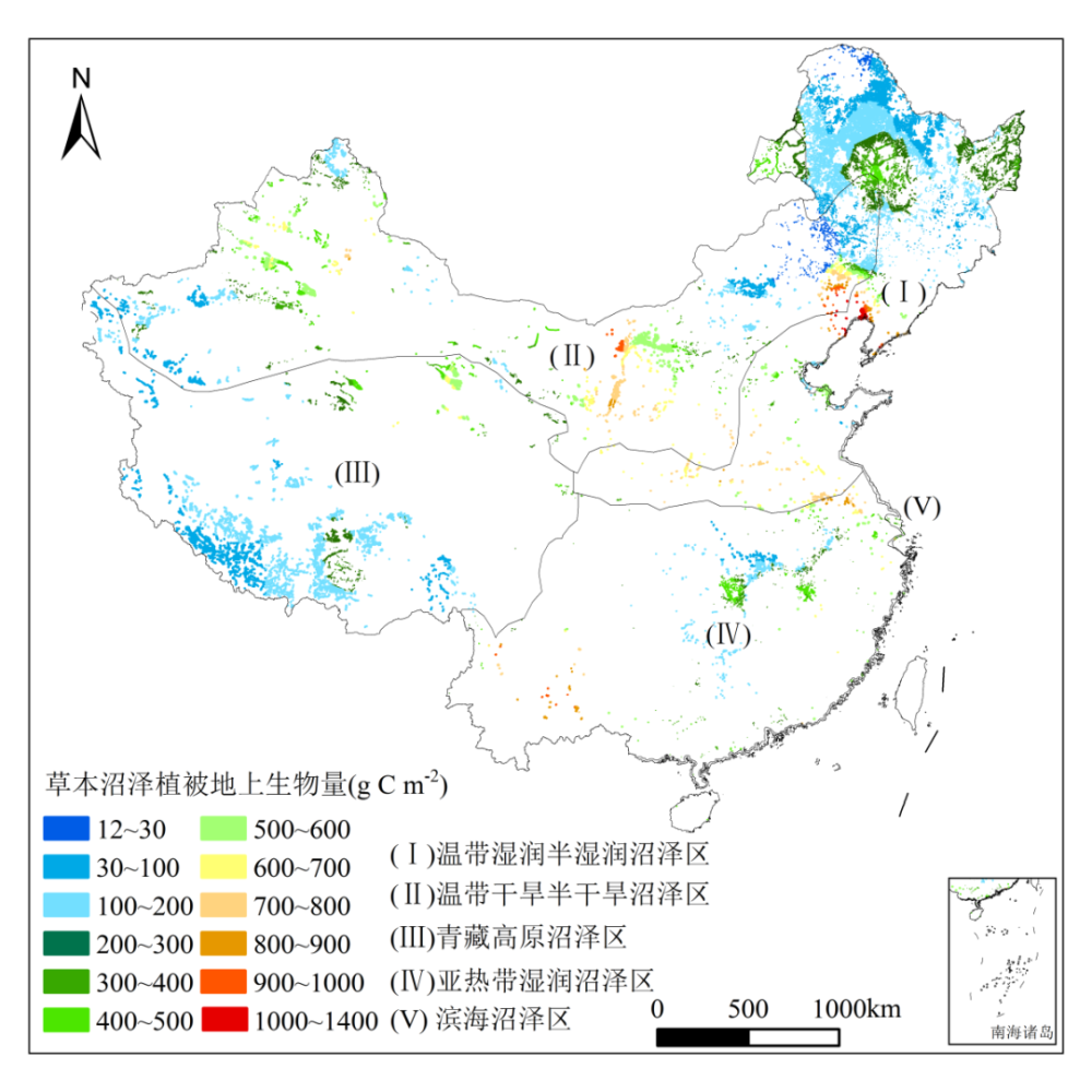 中国草本沼泽植被地上生物量及其空间分布格局