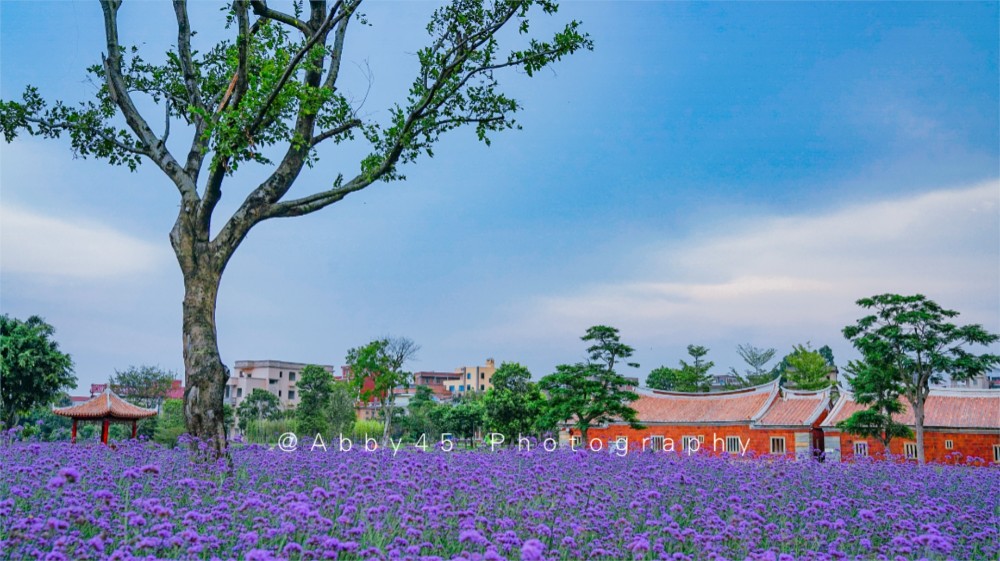 晋江旅行怎么玩最特别?