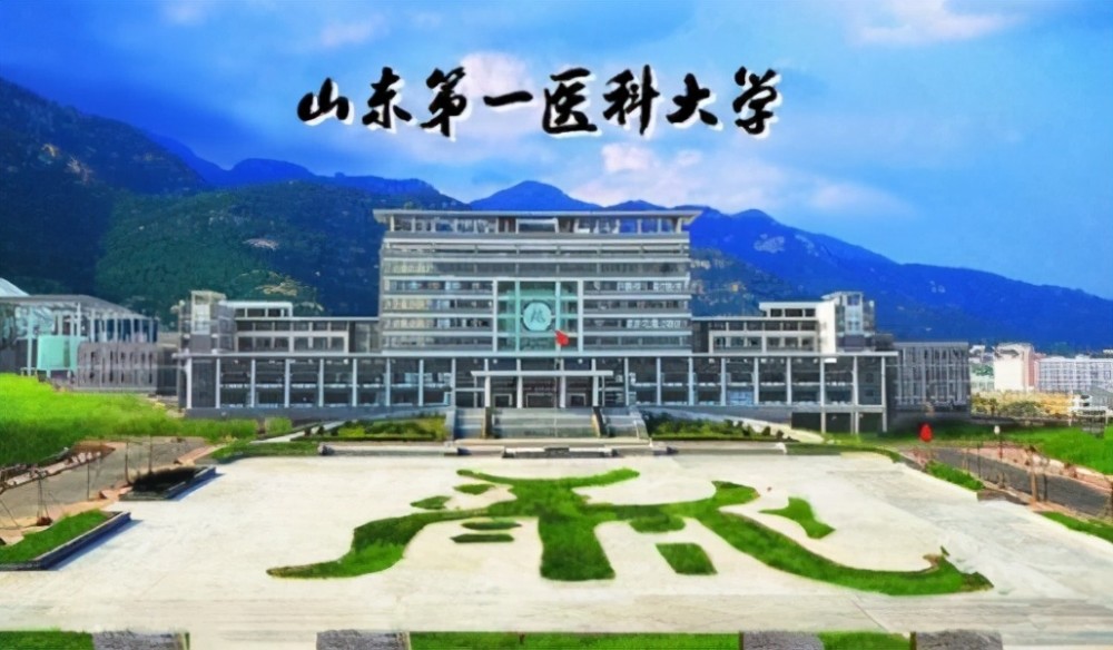 山東最有名的醫科大學應該是山東大學齊魯醫學院,這所大學應該算是