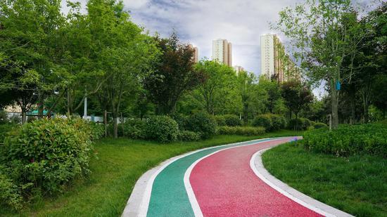 西安市最美景区景区展示系列六绿道湿地篇