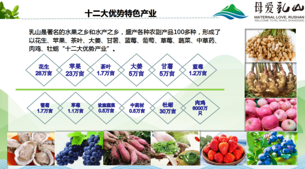 生蚝排行榜_2020全国人口净流入城市排行出炉,泉州上榜,倍感意外
