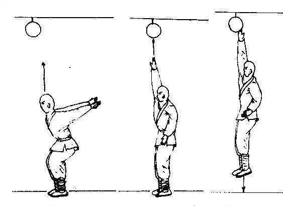 纵跳摸高没错,就是你想的那种纵跳摸高,简单的动作,没有场地限制,在家