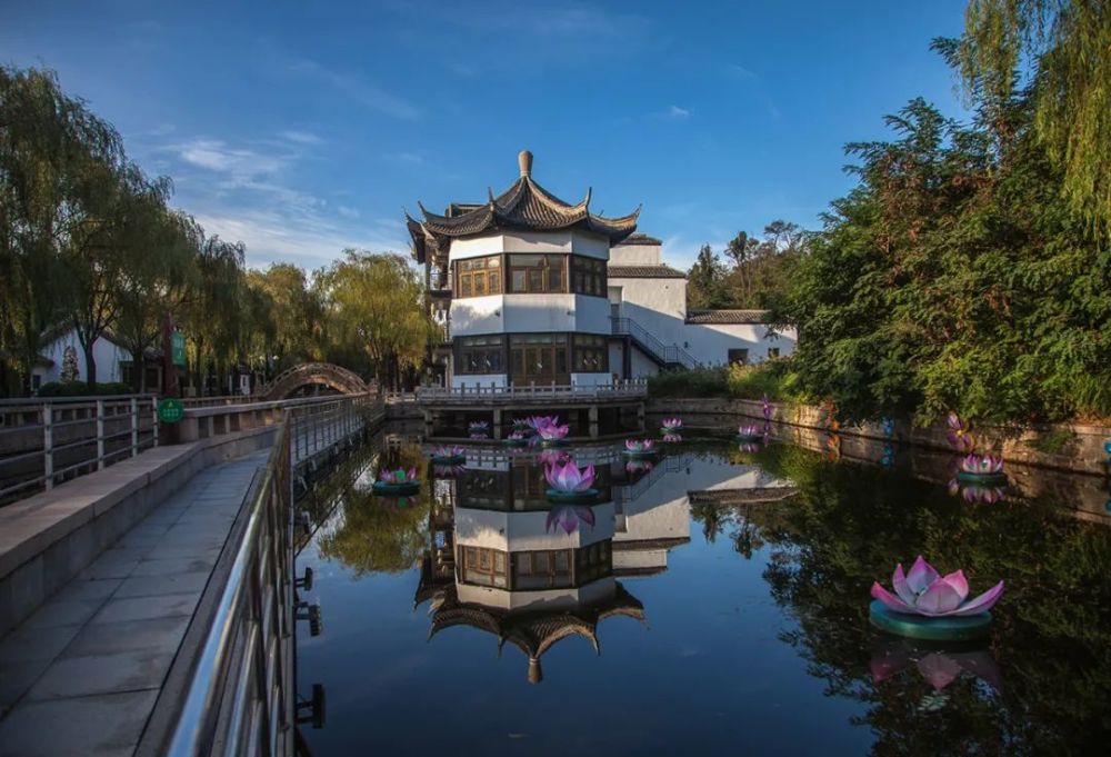 美呆了南娱600亩荷花惊艳绽放