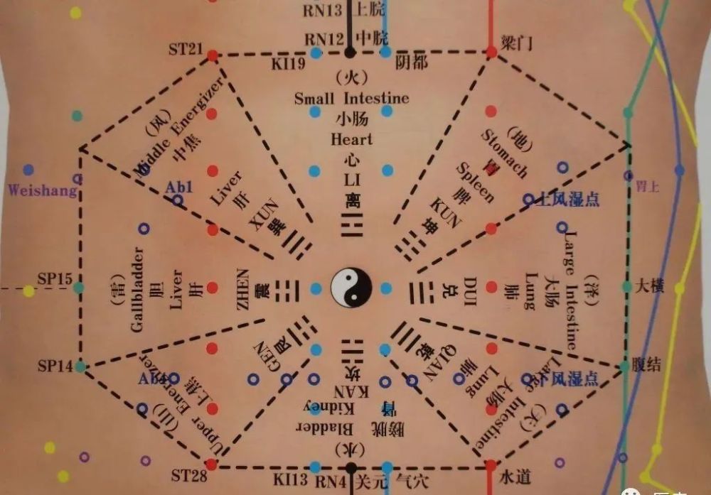 腹针笔记大全纯干货建议收藏