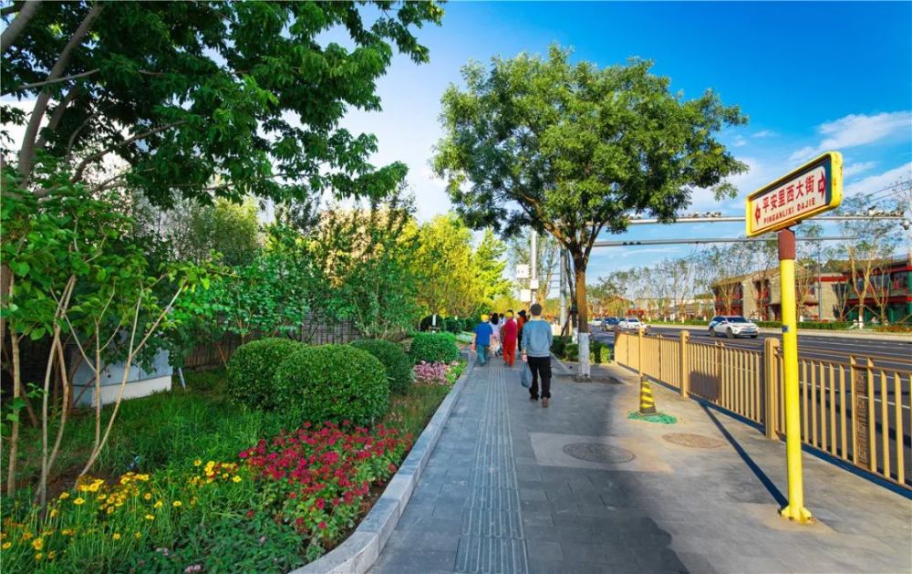 平安大街西城试验段至官园桥全新亮相,太美啦!