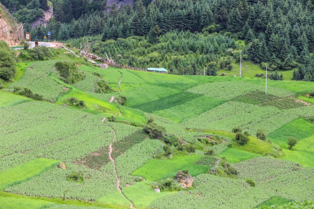 甘肃月牙泉风景区_甘肃月牙泉水从哪里来_甘肃月牙泉