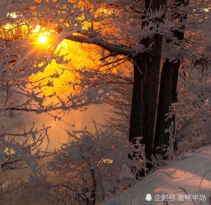 丧到极致的句子_腾讯新闻