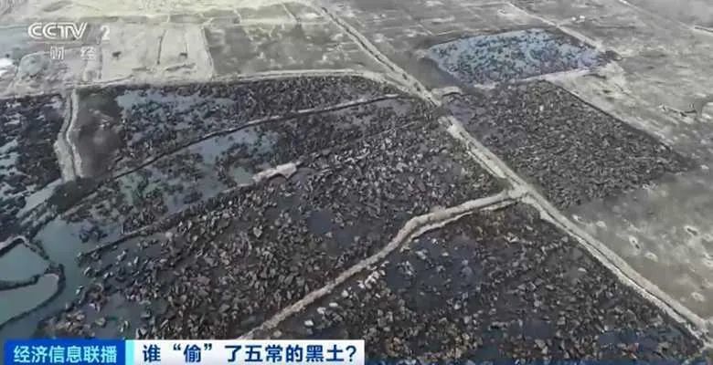 中国东北人口_中国最爱离婚的,是东北人
