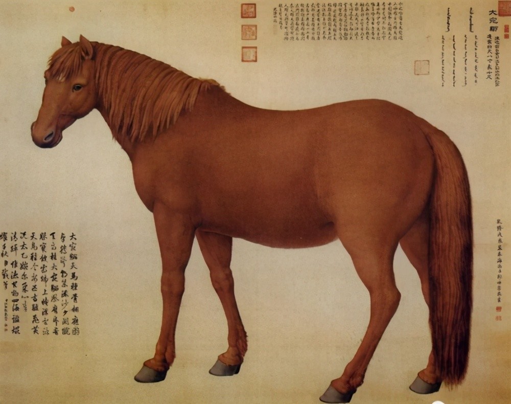 西汉鎏金马鉴赏|古代"汗血宝马"的故事