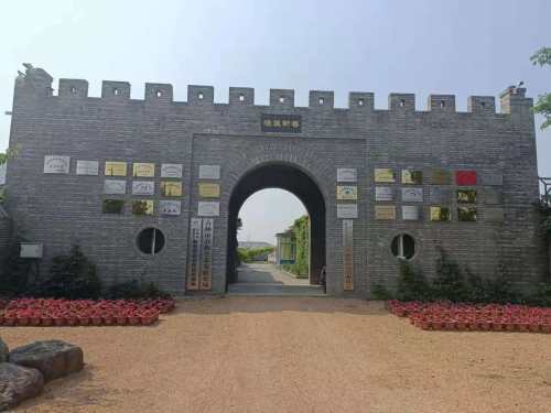 v游吉林乡村游拼图丨昌邑区孤店子镇大荒地村禾苗连天碧稻香沁心脾