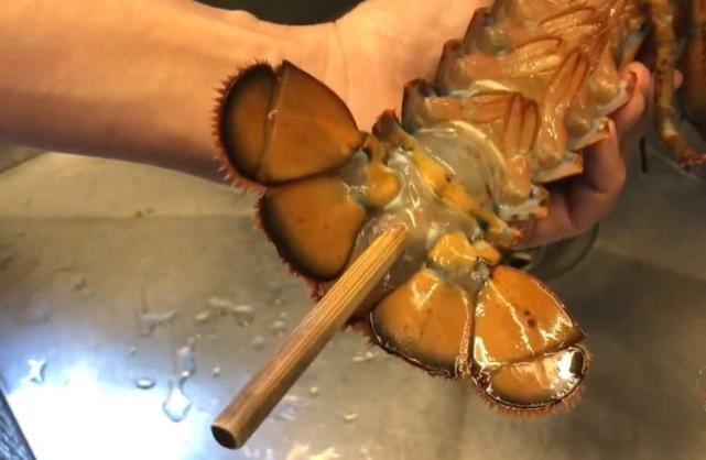 龙虾喷尿是最浪漫的调情
