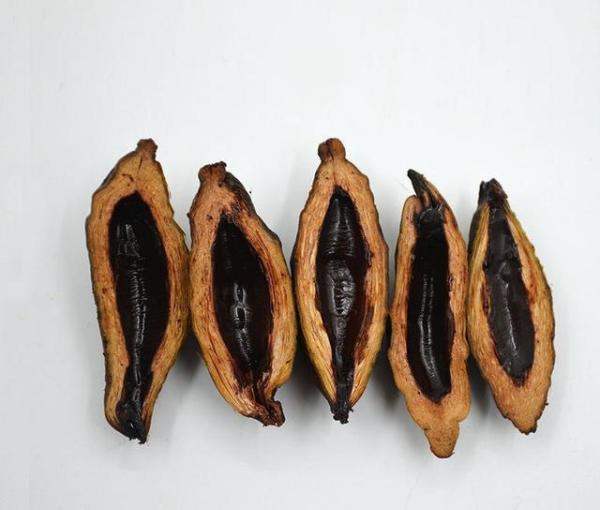 槟榔对身体的危害是什么?