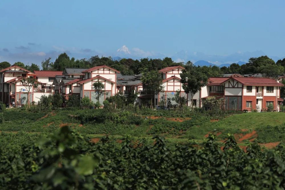 川派网红名山牧马山你的旅游清单该更新了