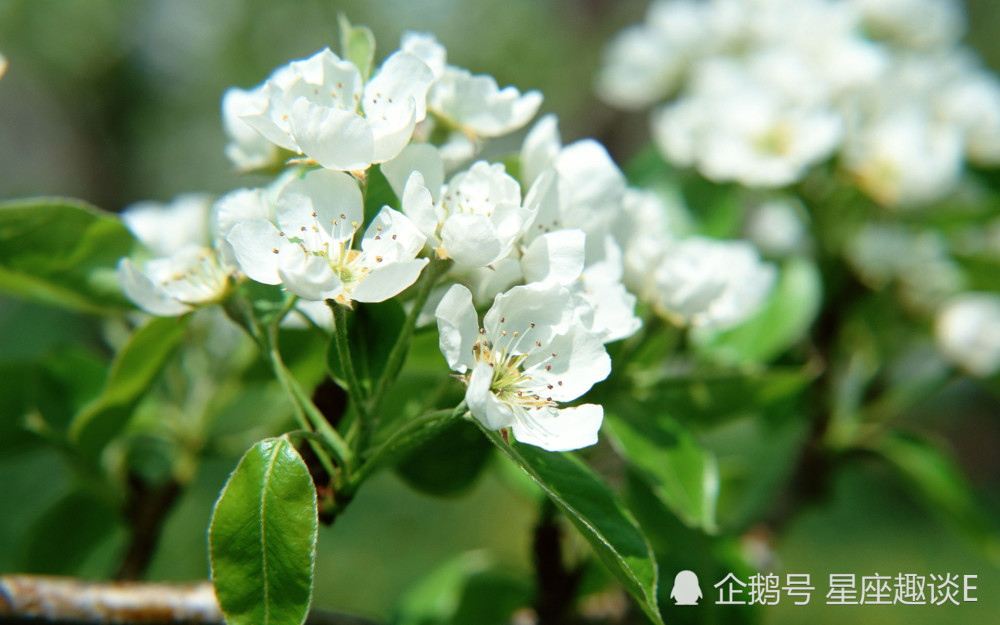 6月30日星座运势 巨蟹乘胜追击 天秤刮目相看 水瓶稳扎稳打 腾讯新闻