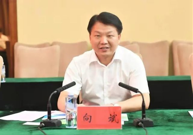 市委常委,常务副市长崔传金市委副书记金茂清市委书记向斌6月29日