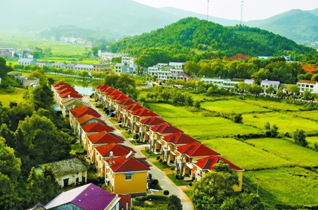 這座土豪村就是山東龍口市的南山村,估計很多朋友還是第一次聽到它