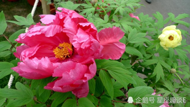 7月1日 31日星座运势 巨蟹展现才华 天秤全力以赴 水瓶目标明确