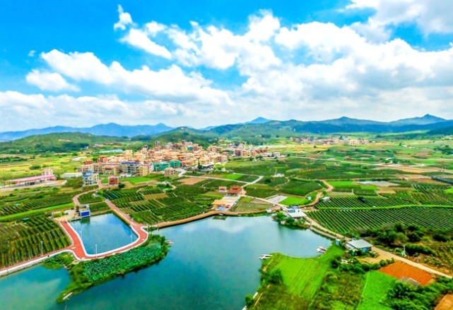 厦门实施乡村振兴战略推进富美绿盈新农村建设